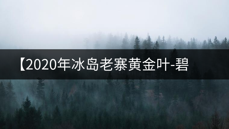 【2020年冰島老寨黃金葉-碧波蕩漾一抹香，輕啜半盞甘若露。