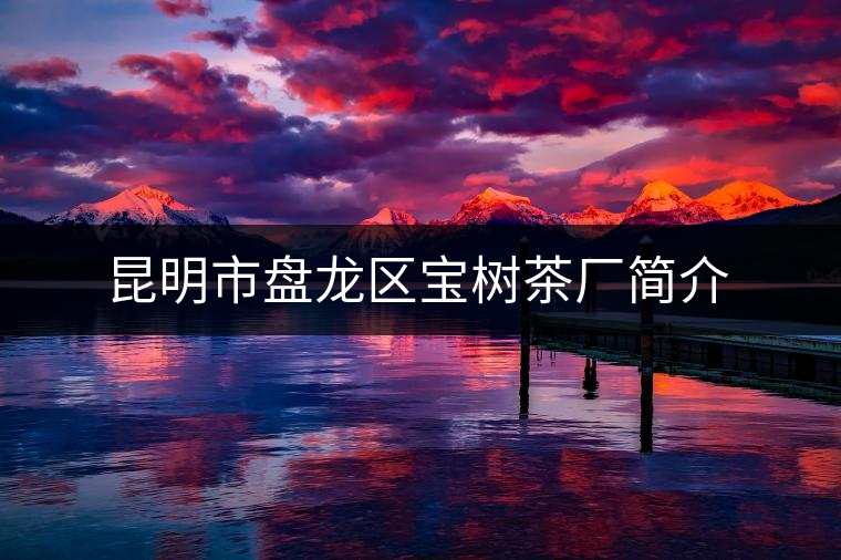 昆明市盤龍區(qū)寶樹茶廠簡介