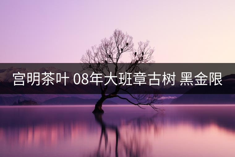 宮明茶葉 08年大班章古樹 黑金限量版 金醇茶磚 好不好喝？