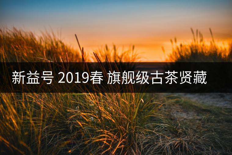 新益號(hào) 2019春 旗艦級(jí)古茶賢藏古600滑竹梁子值得存嗎？