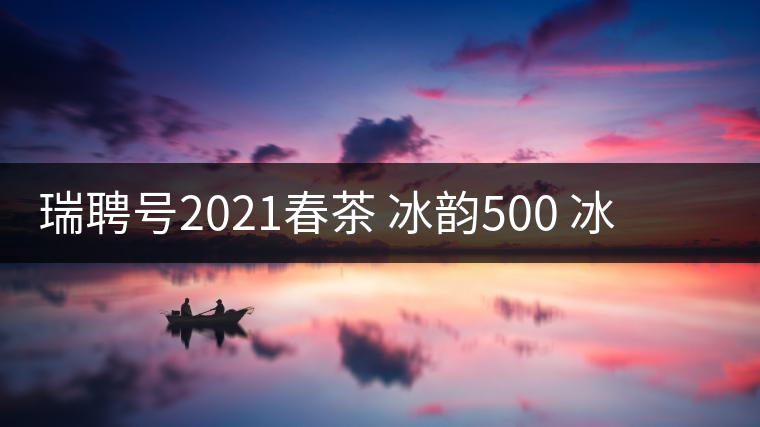 瑞聘號2021春茶 冰韻500 冰島頭春古樹茶口感好不好？
