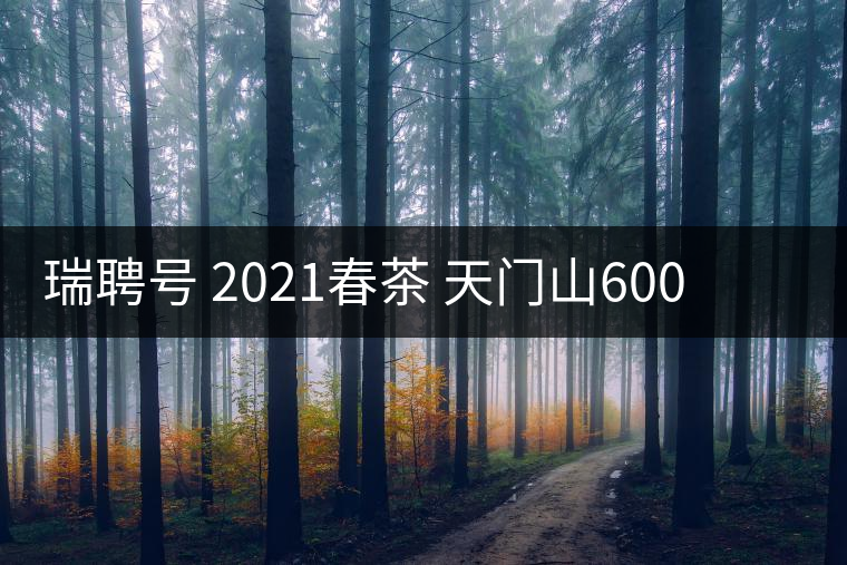 瑞聘號(hào) 2021春茶 天門山600 頭春古樹(shù)口感怎么樣？