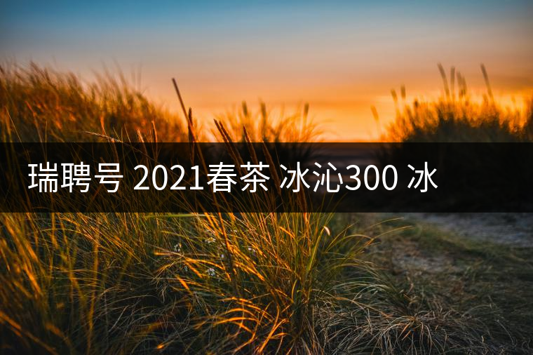 瑞聘號(hào) 2021春茶 冰沁300 冰島頭春古樹茶好喝嗎？