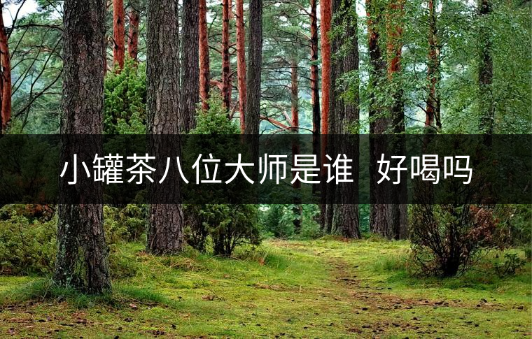 小罐茶八位大師是誰   好喝嗎