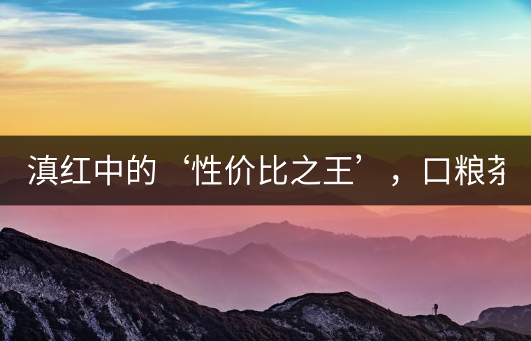 滇紅中的‘性價比之王’，口糧茶首選！