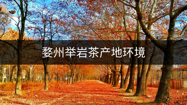 婺州舉巖茶產(chǎn)地環(huán)境