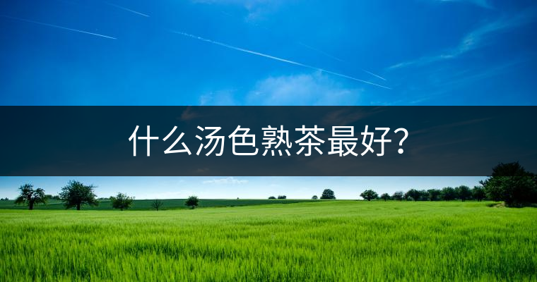 什么湯色熟茶最好？