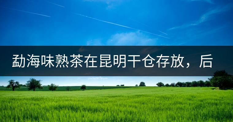 勐海味熟茶在昆明干倉存放，后期轉(zhuǎn)化如何呢？