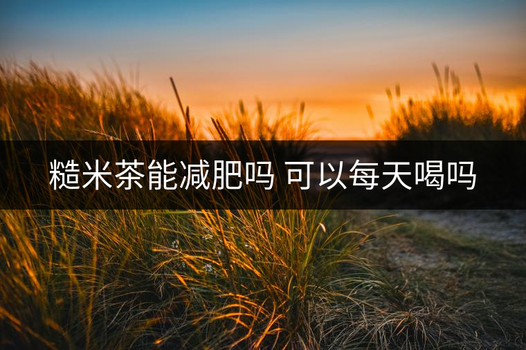 糙米茶能減肥嗎 可以每天喝嗎