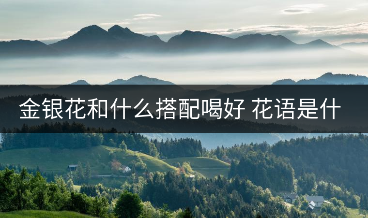 金銀花和什么搭配喝好 花語是什么