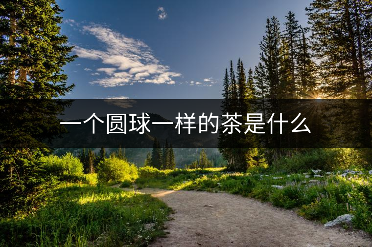 一個(gè)圓球一樣的茶是什么