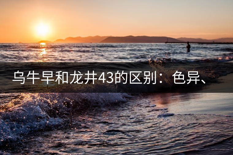 烏牛早和龍井43的區(qū)別：色異、香異、形異