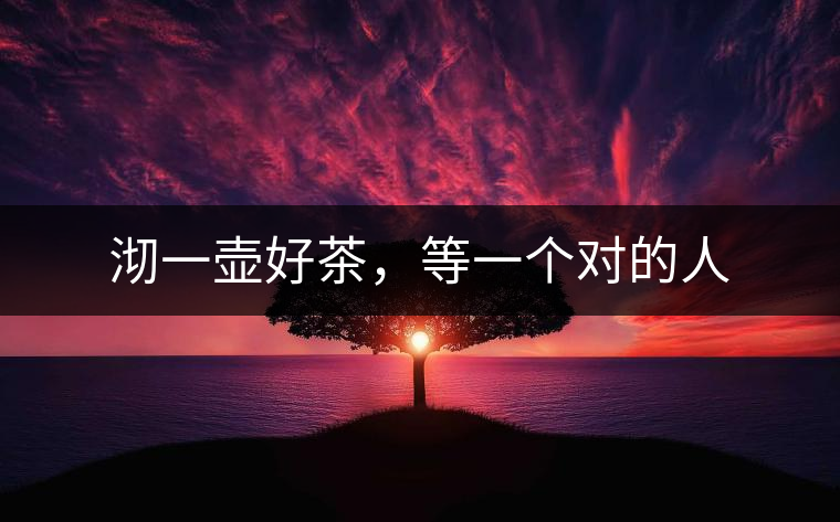 沏一壺好茶，等一個(gè)對(duì)的人