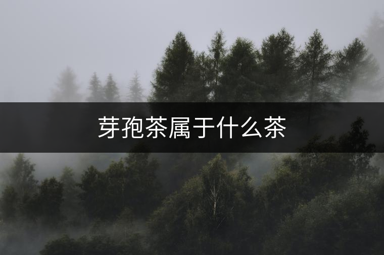 芽孢茶屬于什么茶