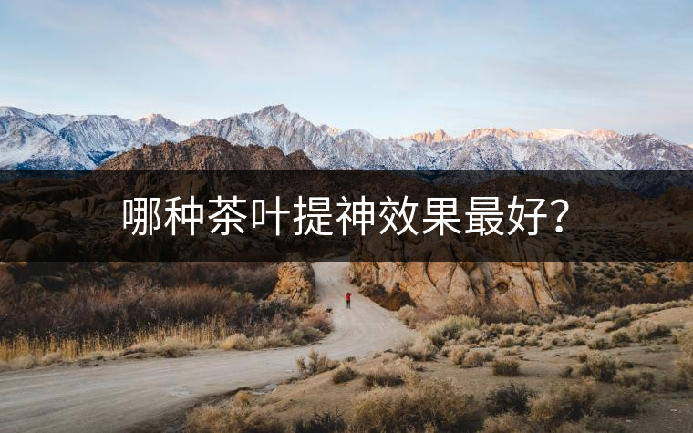 哪種茶葉提神效果最好？