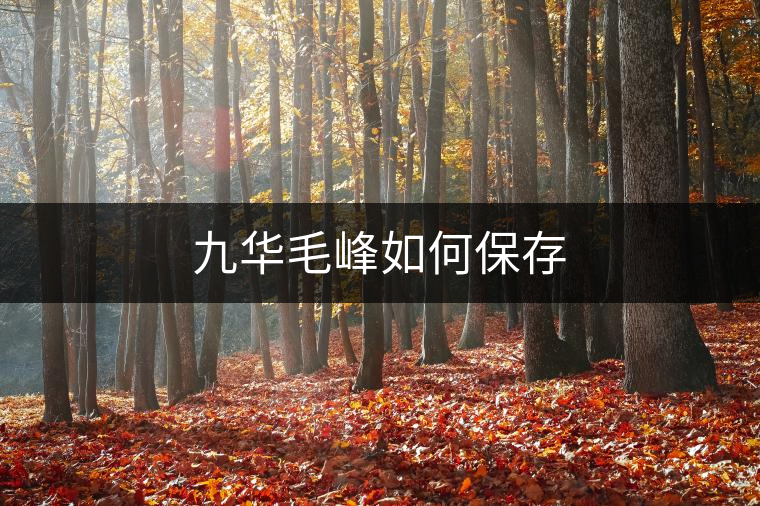 九華毛峰如何保存