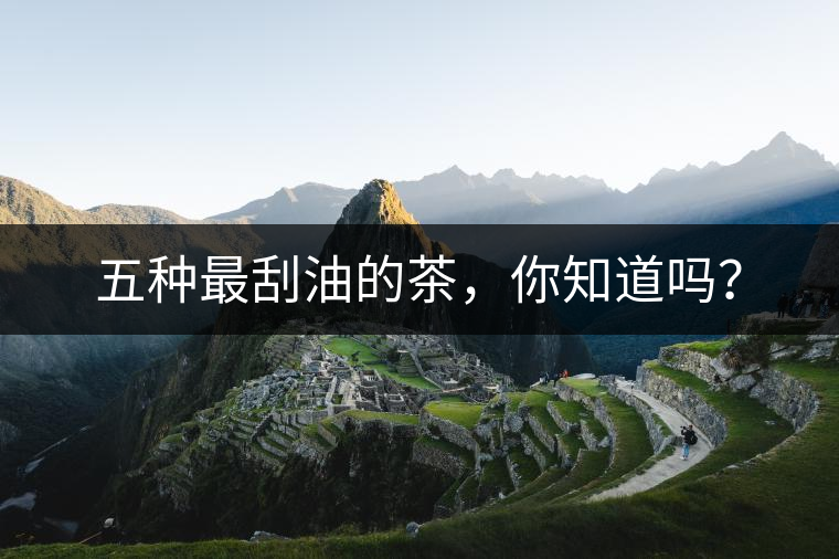 五種最刮油的茶，你知道嗎？
