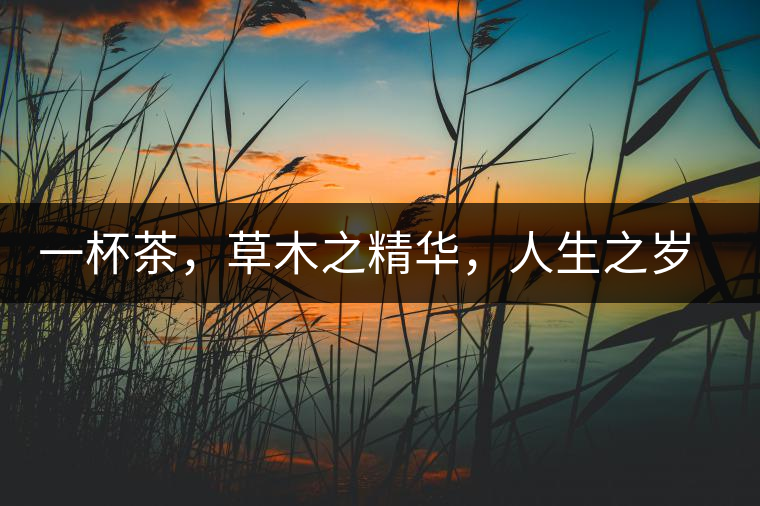 一杯茶，草木之精華，人生之歲月