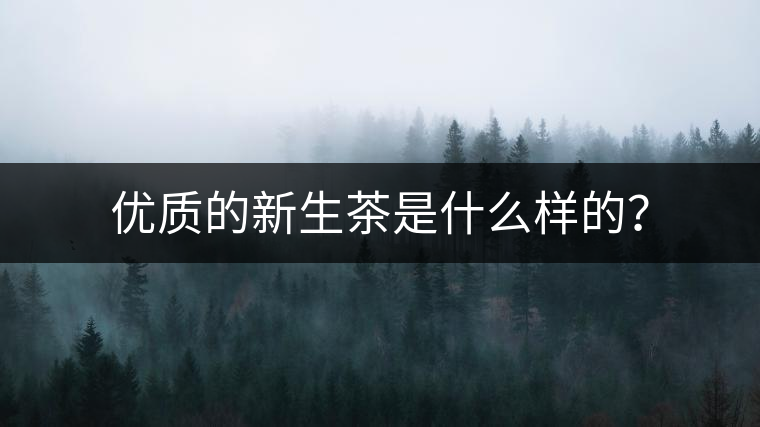 優(yōu)質(zhì)的新生茶是什么樣的？