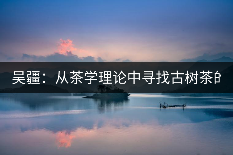 吳疆：從茶學(xué)理論中尋找古樹(shù)茶的鑒別方法？（讀書(shū)筆記3）