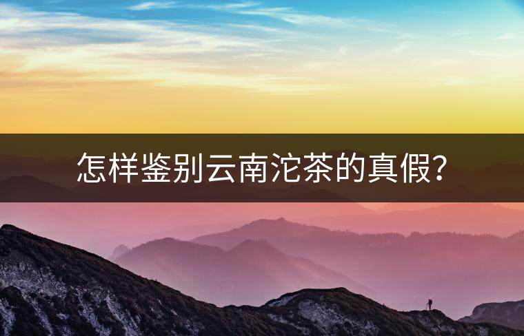 怎樣鑒別云南沱茶的真假？