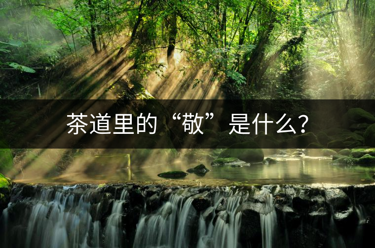 茶道里的“敬”是什么？