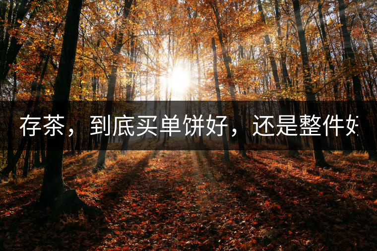 存茶，到底買單餅好，還是整件好？