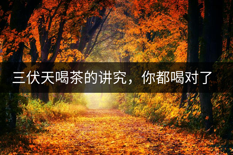 三伏天喝茶的講究，你都喝對了嗎？