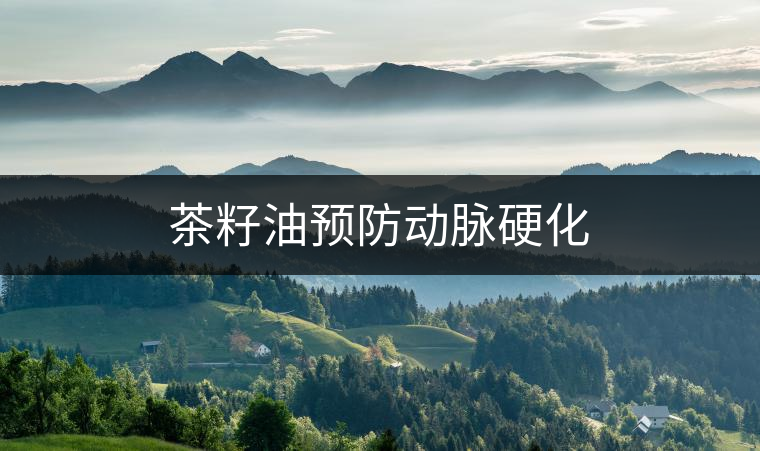 茶籽油預(yù)防動脈硬化