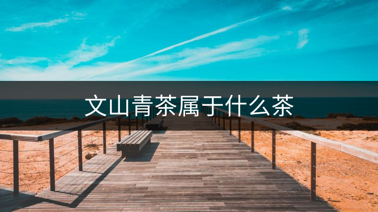 文山青茶屬于什么茶 文山青茶屬于什么茶