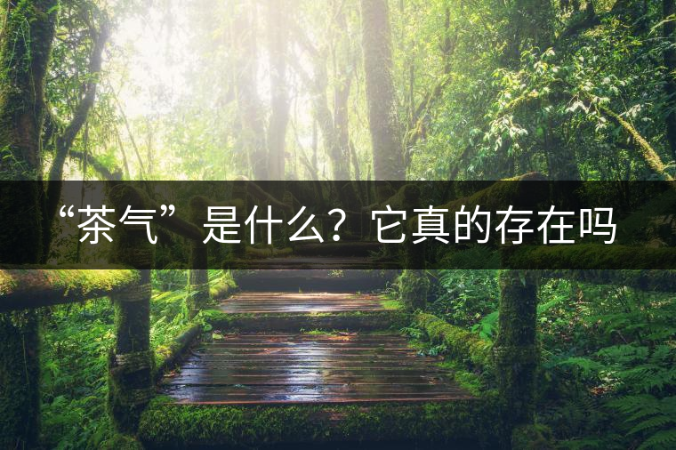 “茶氣”是什么？它真的存在嗎？