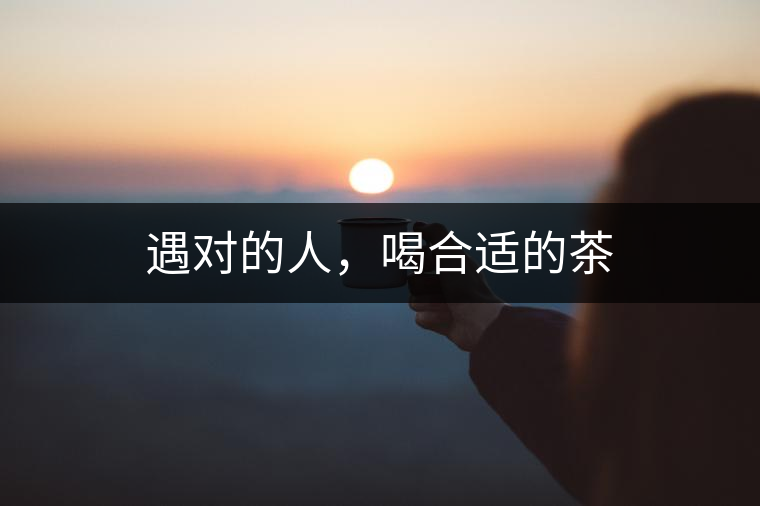 遇對的人，喝合適的茶