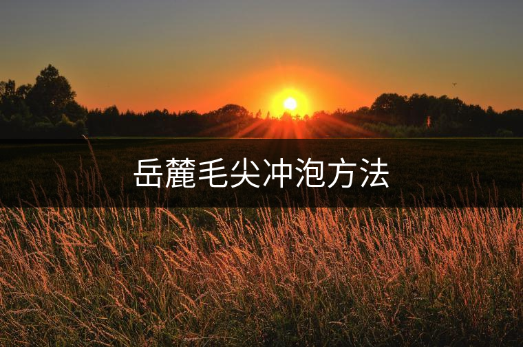 岳麓毛尖沖泡方法 岳麓毛尖沖泡方法