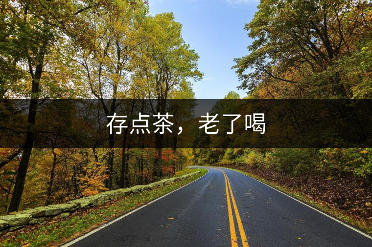 存點(diǎn)茶，老了喝