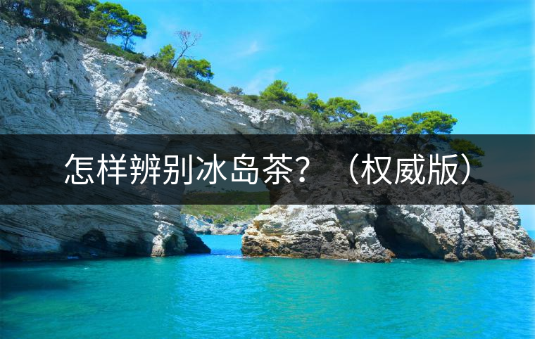 怎樣辨別冰島茶？（權(quán)威版）