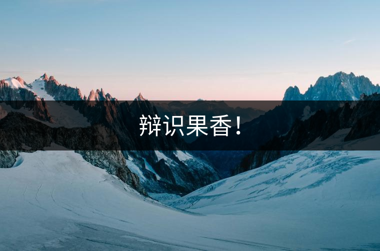 辯識果香！