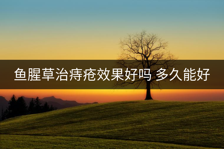 魚腥草治痔瘡效果好嗎 多久能好