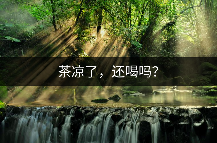 茶涼了，還喝嗎？