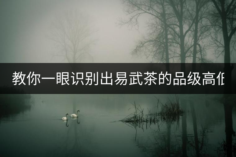 教你一眼識(shí)別出易武茶的品級(jí)高低！