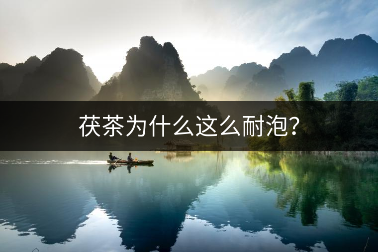 茯茶為什么這么耐泡？