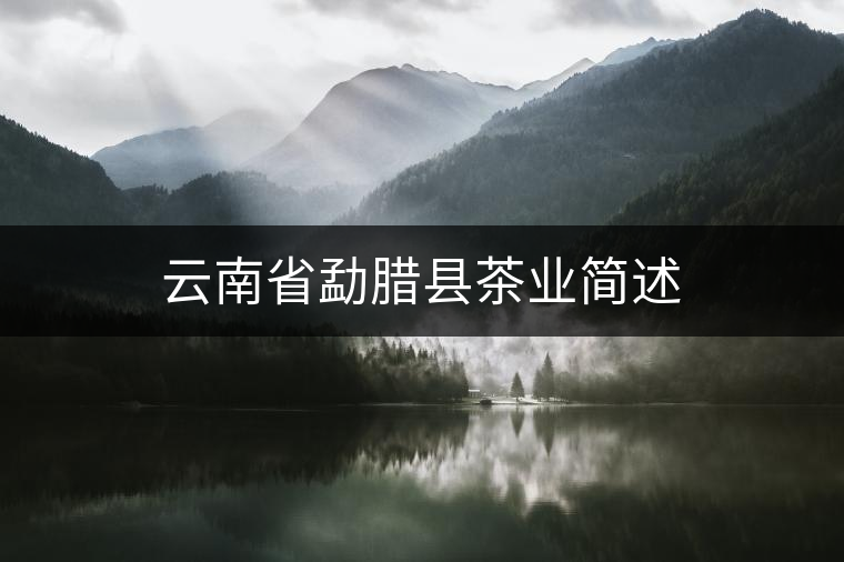云南省勐臘縣茶業(yè)簡(jiǎn)述