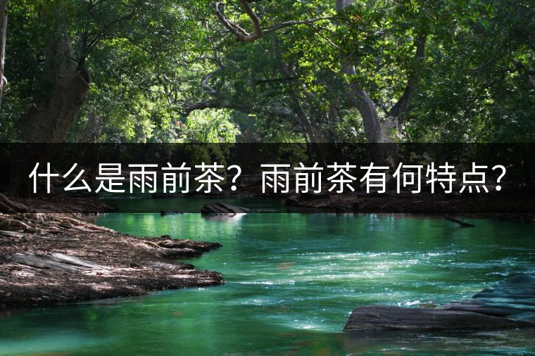 什么是雨前茶？雨前茶有何特點(diǎn)？