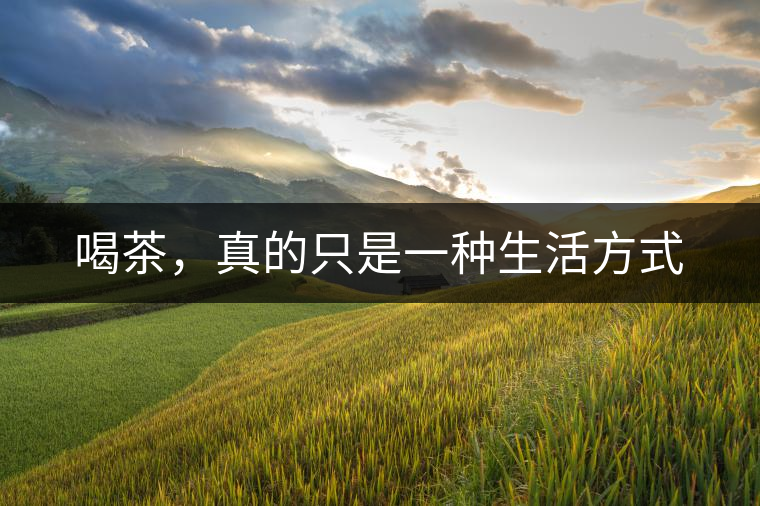 喝茶，真的只是一種生活方式