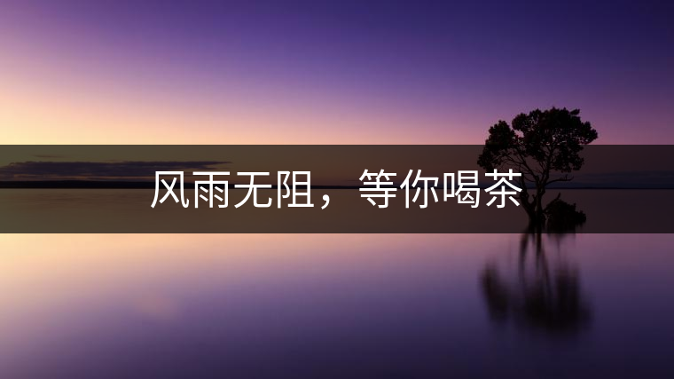 風(fēng)雨無阻，等你喝茶