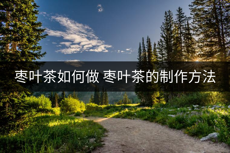 棗葉茶如何做 棗葉茶的制作方法