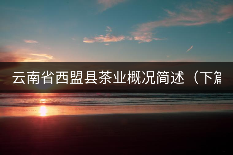 云南省西盟縣茶業(yè)概況簡述（下篇）