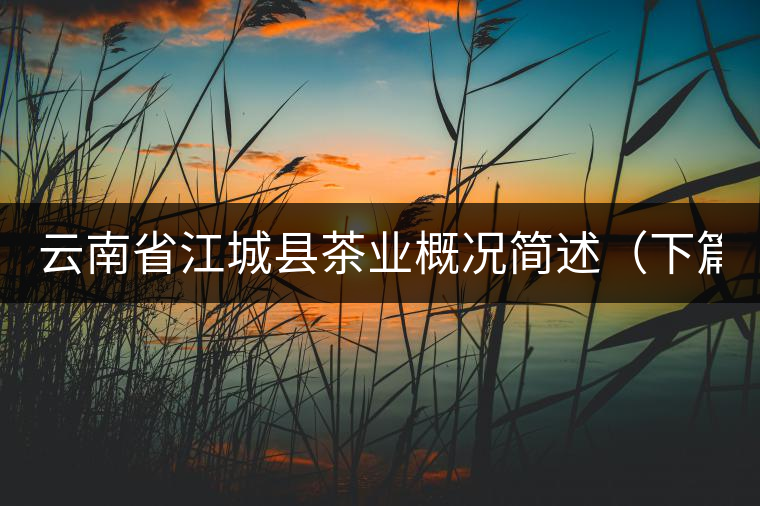 云南省江城縣茶業(yè)概況簡述（下篇）