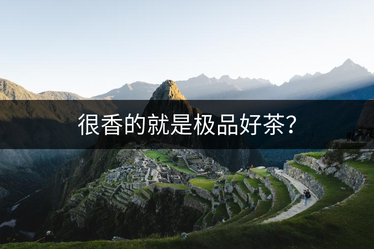 很香的就是極品好茶？