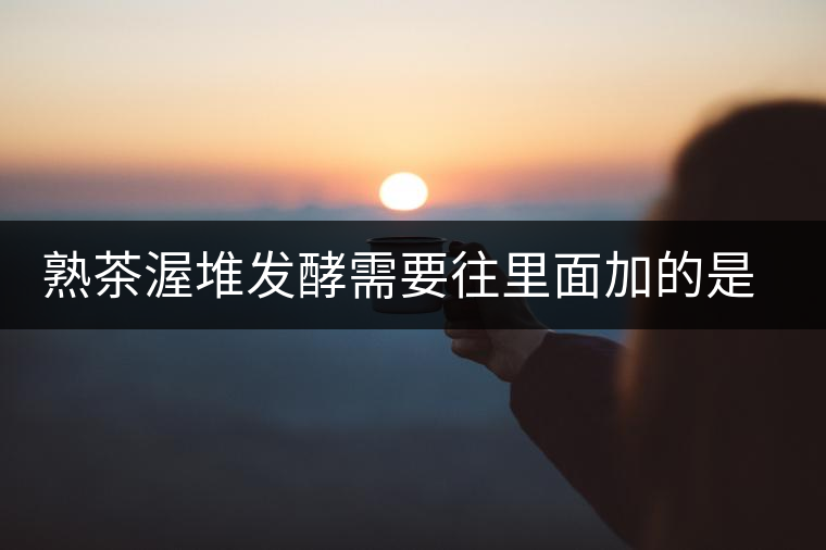 熟茶渥堆發(fā)酵需要往里面加的是什么東西？
