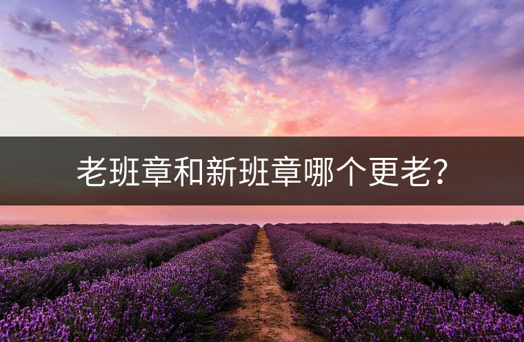 老班章和新班章哪個更老？